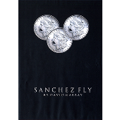 Sanchez Fly by David Gabbay - video - DOWNLOAD