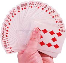 SADOVÉ KARTY BICYCLE