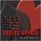 Sorted Affair (2013) by Sean Bogunia